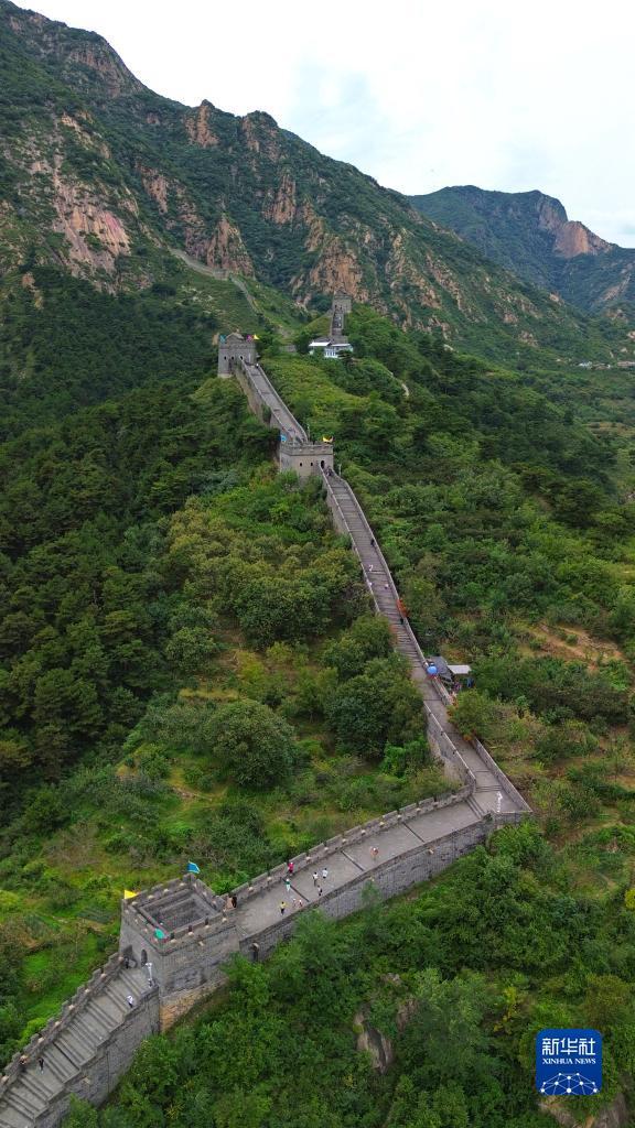 mg官方游戏