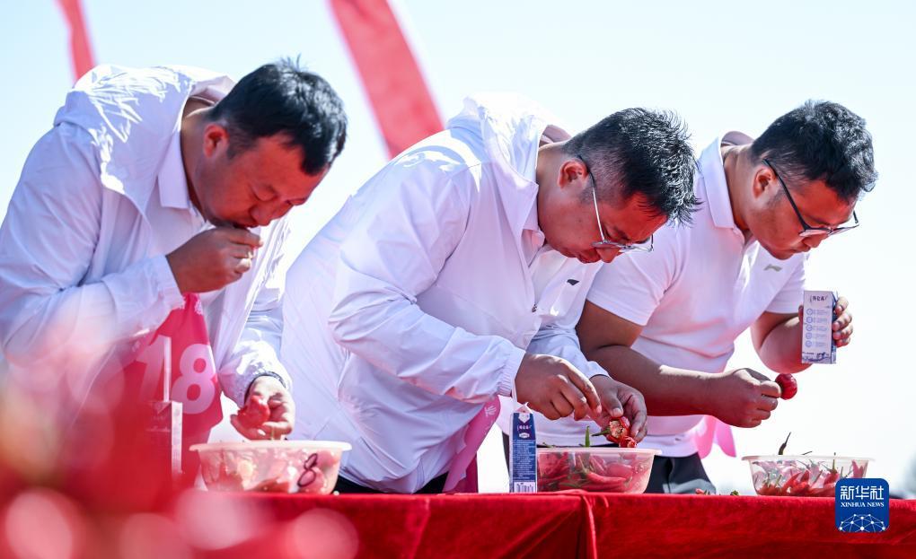 百家什乐鲨鱼分析软件